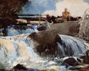 温斯洛荷默 - Casting in the Falls